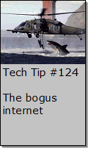 The bogus internet