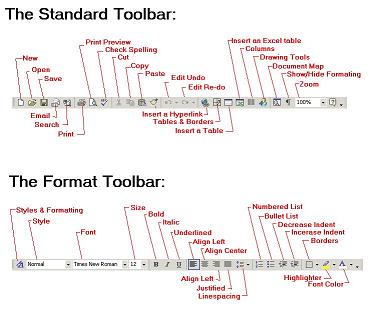 Standard and Format toolbar in Word