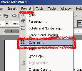 Word Columns Format Menu